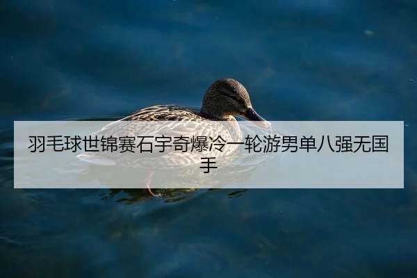 yu-mao-qiu-shi-jin-sai-shi-yu-qi-bao-leng-yi-lun-you-nan-dan-ba-qiang-wu-guo-shou-2-931.jpg